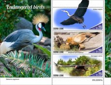 SIERRA LEONE- 2022 10- ENDANGERED BIRDS  3V