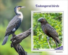 SIERRA LEONE- 2022 10- ENDANGERED BIRDS I  1V