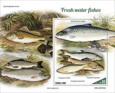 2022 10- SIERRA LEONE- FRESH WATER FISHES I  1V