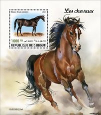 DJIBOUTI- 2023 03- HORSES I  1V