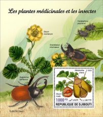 DJIBOUTI- 2023 03- MEDICAL PLANTS & INSECTS II  1V