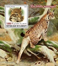 DJIBOUTI- 2023 03- WILD CATS I  1V