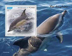 2023 04- CHAD- DOLPHINS  1V