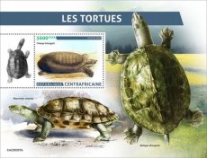 2023 06- CENTRAL AFRICA- TURTLES  1V