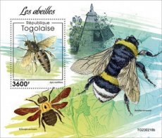 2024 01- TOGO- BEES  1V