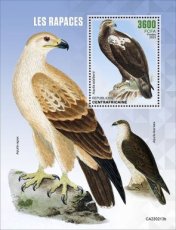 CENTRAL AFRICA- 2023 02- BIRDS OF PREY  1V