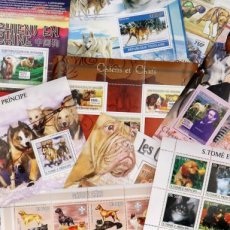 CHIENS - DOGS 35 DIFF SET MNH**S