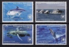 COOK-2020 06- WHALES & DOLPHINS II      4V