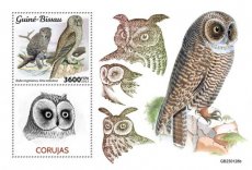 GUINEA BISSAU- 2023 01- OWLS  1V