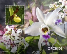 LIBERIA ORCHIDEES BF 2020/01