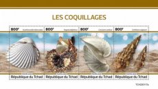 TCHAD COQUILLAGES 2020/02