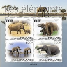 TOGO ELEPHANTS 2020/02
