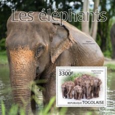 TOGO ELEPHANTS BF 2020/02